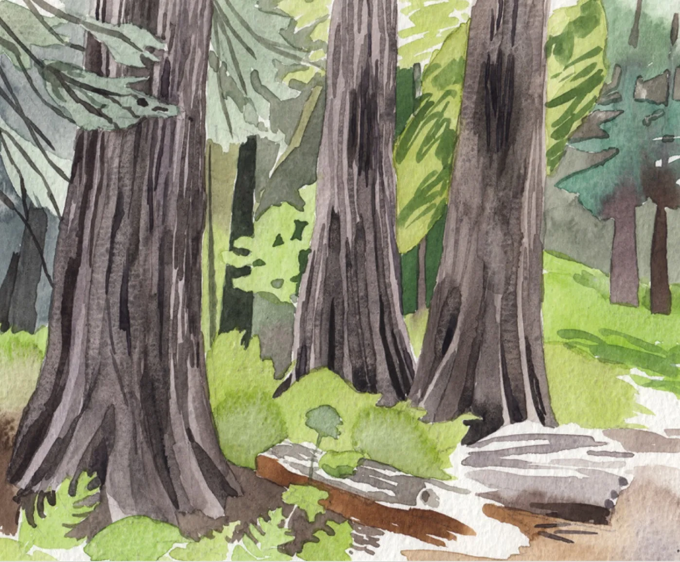 hohojɛ (getting ready to do something)