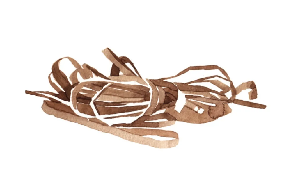 χaƛ (to love something)