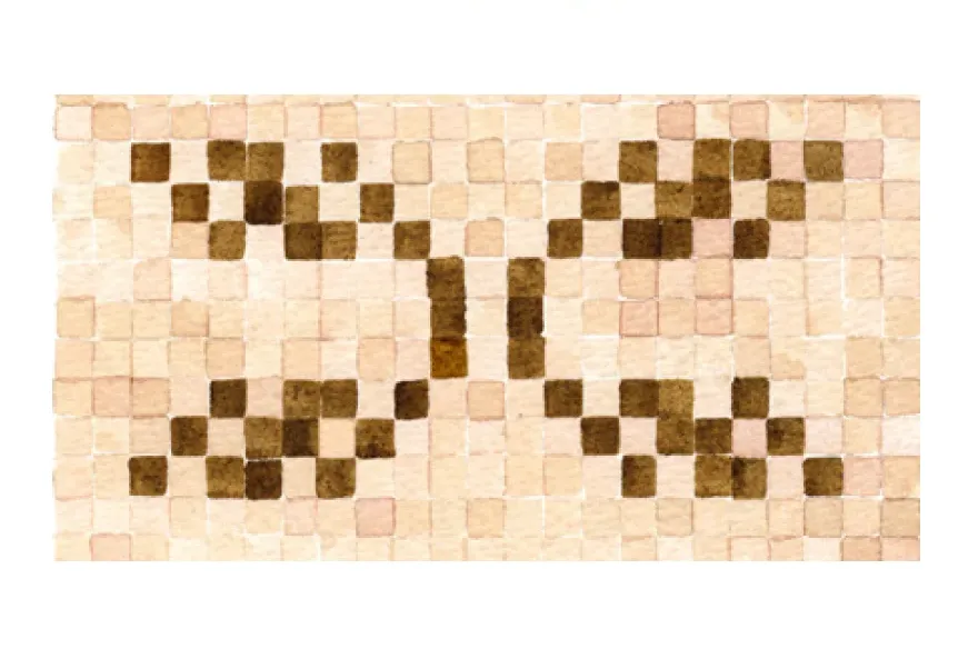 xʷop̓ ɛʔɛč (basket weave)