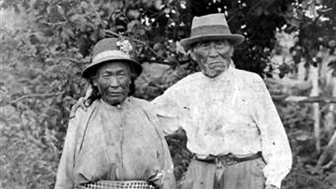 Elders