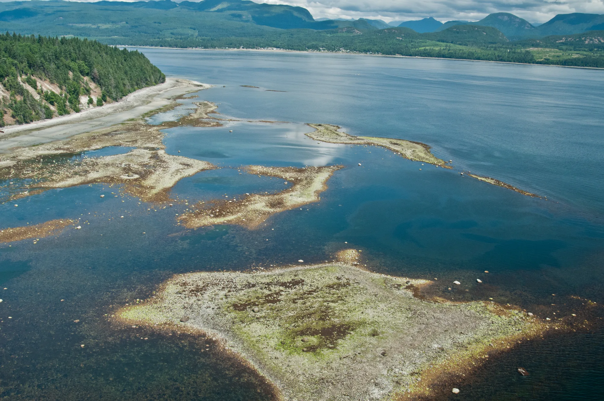 Harwood Island June 22 2009